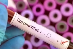 Vaccine for coronavirus, Cure for coronavirus, who warns covid 19 may never go away then what s the future of the world, U s federal reserve