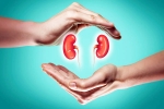 World Kidney Day 2025 health, World Kidney Day 2025 experts, world kidney day 2025 theme and health tips, Achieving