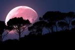 supermoon, super pink moon, april s super pink moon to rise today biggest of the year, Supermoon supermoon, super pink moon, april s super pink moon to rise today biggest of the year, Supermoon
