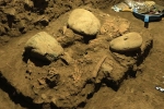 7200 year old human remains updates, 7200 year old human remains, remains of a teenager who died 7200 years found, Archeologist